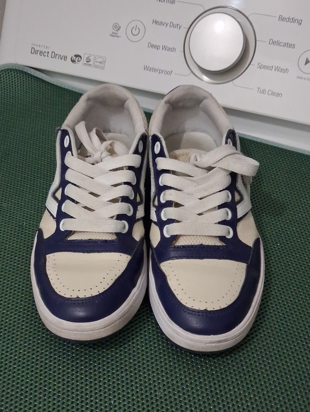 Vans For Women Navy and Cream Low-Top Sneakers